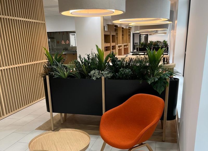 Viva (Malakov) Viva (Malakov)